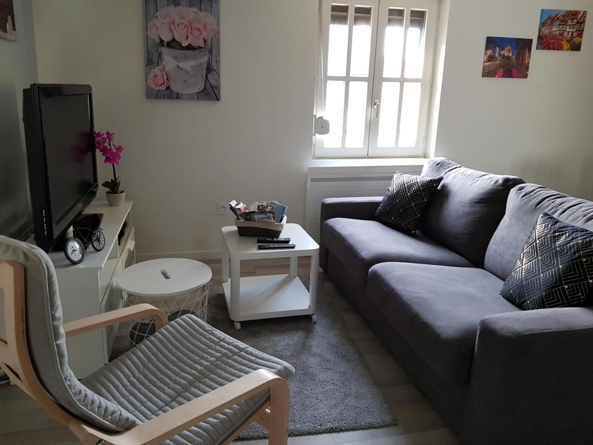 Apartmán Le Cocon De Tom Colmar Exteriér fotografie