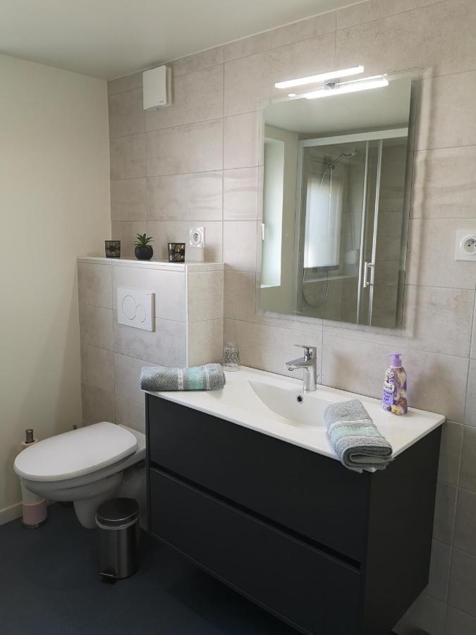 Apartmán Le Cocon De Tom Colmar Exteriér fotografie